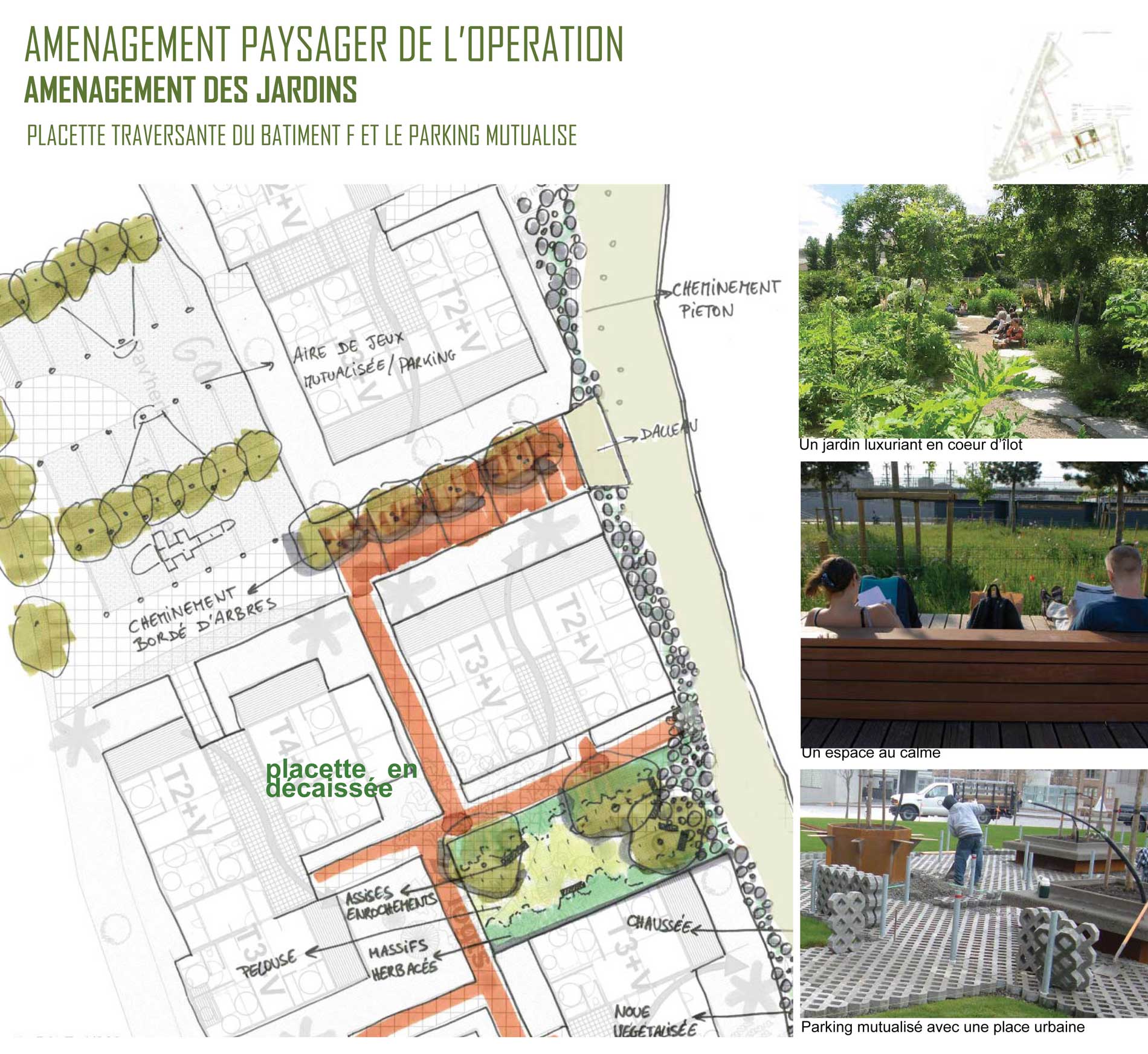 Plan d'aménagement paysager projet Terence LEU Réunion 974